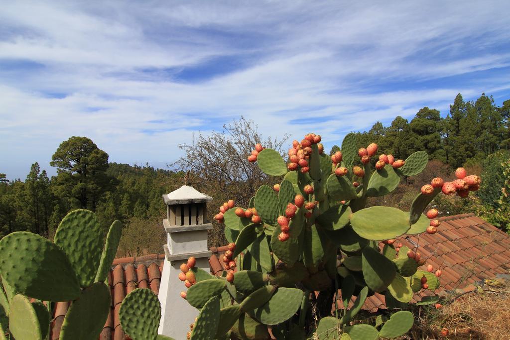 Casa Rural El Riachuelo Garafía 외부 사진